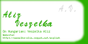 aliz veszelka business card
